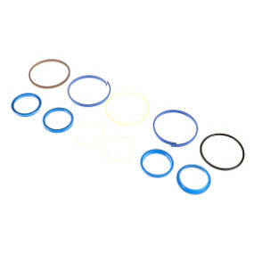 Dichtungssatz Case 1341819C1