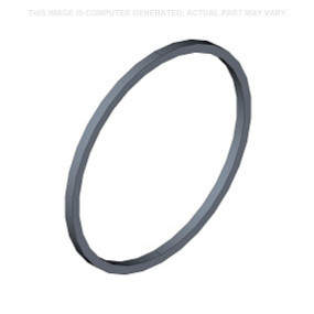 Dichtring Case 1345877C1