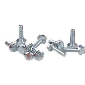 Schraube Case 13833824