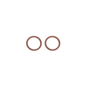 O-Ring (14463481) Case