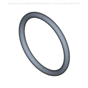O-Ring Case 14463889