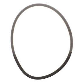 O-Ring Case 14465481