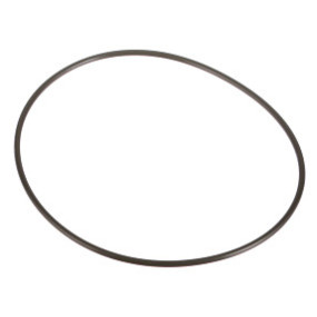 O-Ring Case 14483280