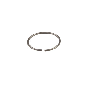 Sprengring Case 145190C1