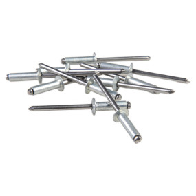 Niete (151-559) Case