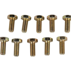 Schraube Case 15970721