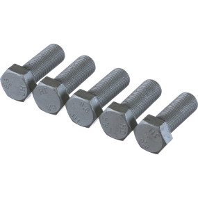 Schraube Case 15984324