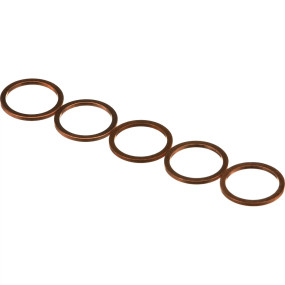 Dichtung, Flach (16508260) Case