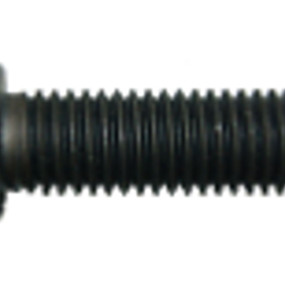 12Kt-Schraube Case 166-85