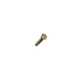 Schraube Case 16605824