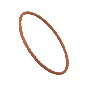 O-Ring Case 17290781