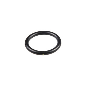 O-Ring Case 17295480