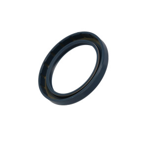 Dichtung, Flach Case 190003074349