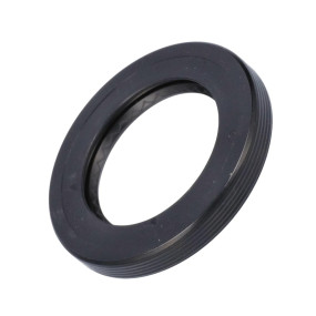 Dichtring Case 190003074426