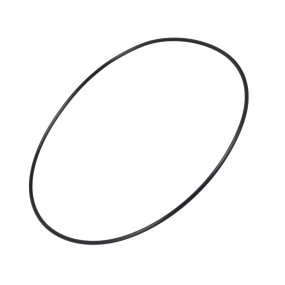 O-Ring Case 190003120686