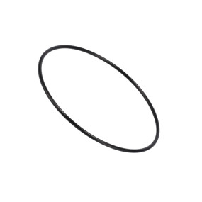 O-Ring Case 190003121062