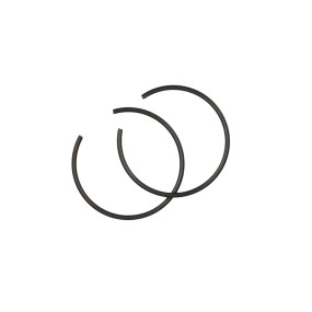 Sprengring Case 190003936051