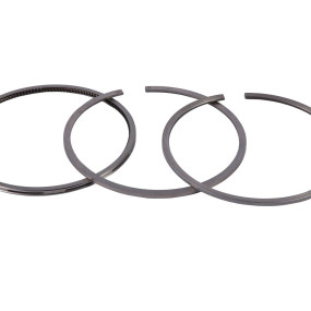 Satz Ringe Case 1931019