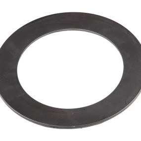 Federscheibe Case 195118A1