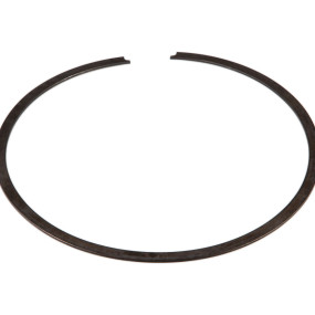 Sprengring Case 1963876C1