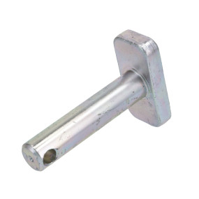 Bolzen Case 1965397C2