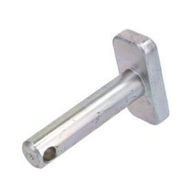 Bolzen Case