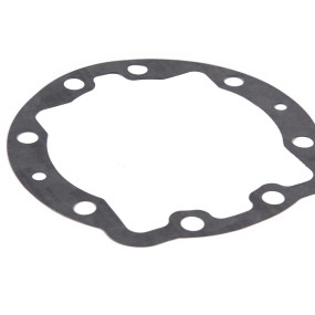 Dichtung, Flach (1980140C1) Case