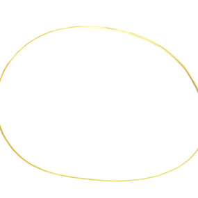 Dichtring Case 198685A1