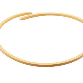 Dichtring Case 198853A1