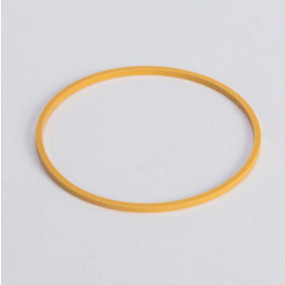 Dichtring Case 1995174C1