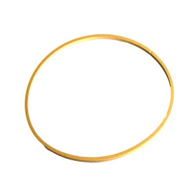 Dichtring Case 1997879C1