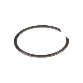 Sprengring Case 199981A1