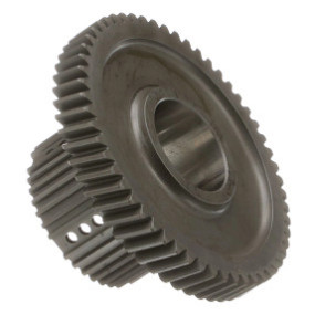 Ritzel Case 228781A1