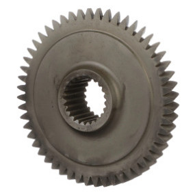 Ritzel Case 249311A1