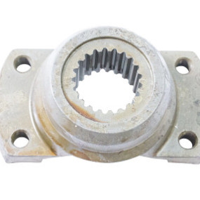 Flansch Case 257247A1