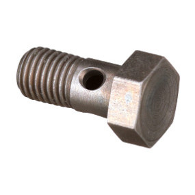 Ringschlauchnippel Case 2830360