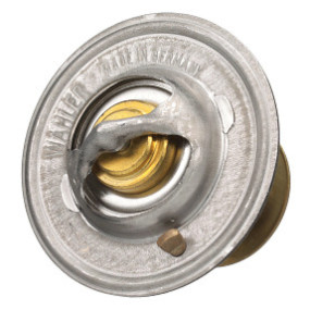 Thermostat Case 2830734