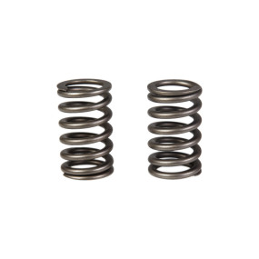 Ventilfeder Case 2831473