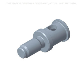 Bolzen Case 295920A1