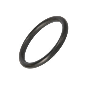 O-Ring Case 299937A1