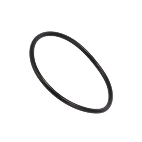 O-Ring Case 302910A1