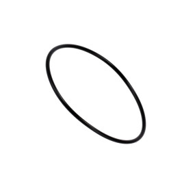 O-Ring Case 3051787R1