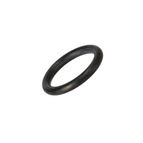 O-Ring Case 3078483R1