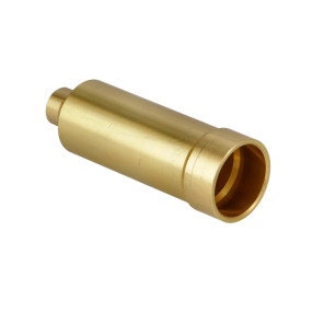 Führungsring (3132025R1) Case