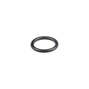O-Ring Case 319721A1