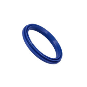 Dichtring Case