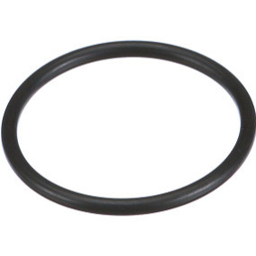 O-Ring Case 340406A1