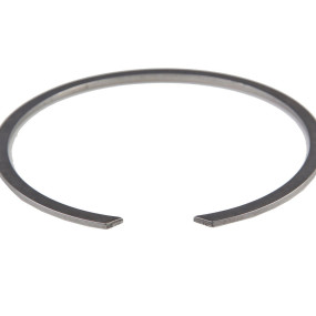 Sprengring (381492R1) Case