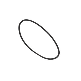 Dichtung Case 401724R1