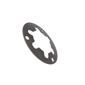 Tellerfeder Case 402574R1